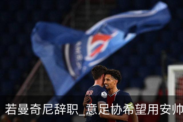 若曼奇尼辞职 意足协希望用安帅或卡纳瓦罗替代